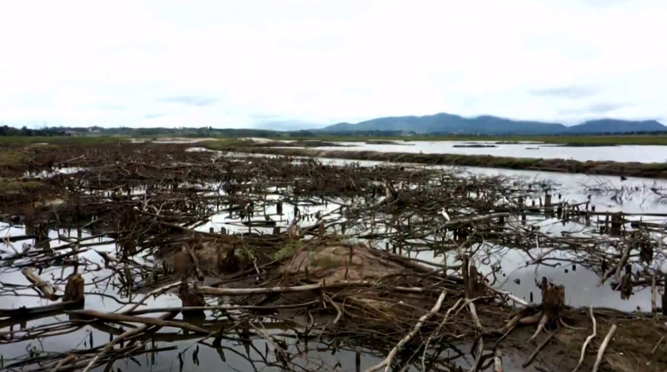 Paraná tem 8,6% do território em situação de seca extrema, diz levantamento