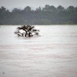 Tragédia no RS: Mortes Confirmadas sobem para 83 após Enchentes