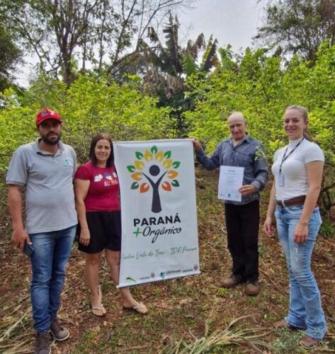 Fruticultores de Corumbataí do Sul comemoram conquista da certificação orgânica.