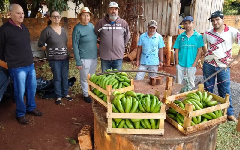 Juranda apresenta avanços na Diversificação e Agricultura Sustentável