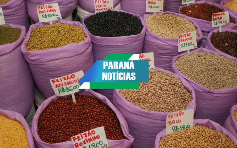 Paraná alcança marca histórica na produção de feijão, se mantendo como líder nacional com 865 mil toneladas.