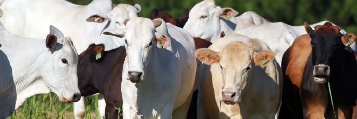 Alerta da Secretaria de Agricultura de Juranda sobre prazo final para produtores.