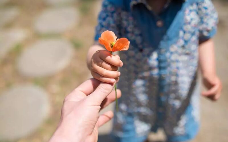 Dia da Gentileza: quando o amor vira ação e transforma comunidades inteiras