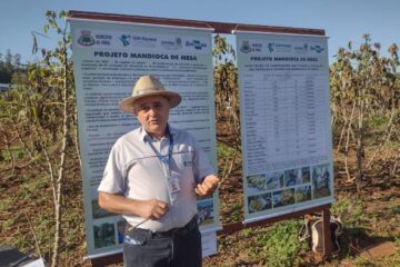 Governo Estadual apoia agricultores de Campo Mourão a inovar na produção de mandioca