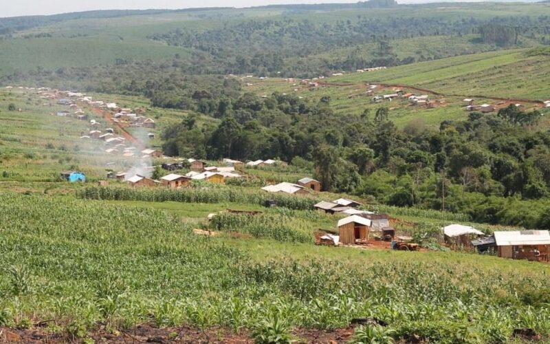 Conflito histórico no Paraná chega ao fim com acordo da reforma agrária
