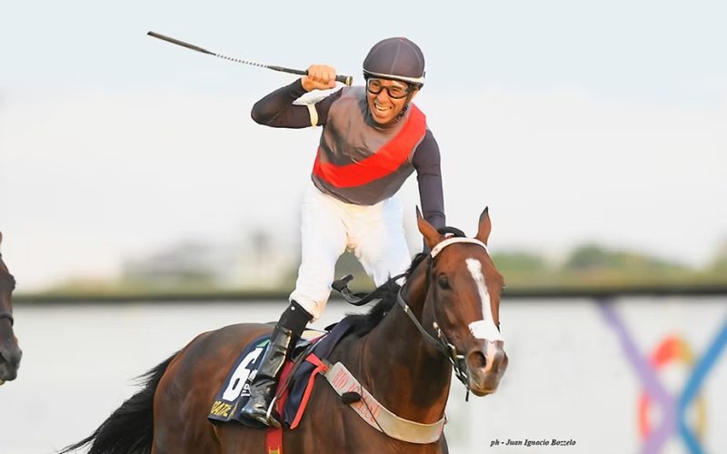 Cavalo criado no Paraná faz história e é eleito o cavalo do ano na Argentina