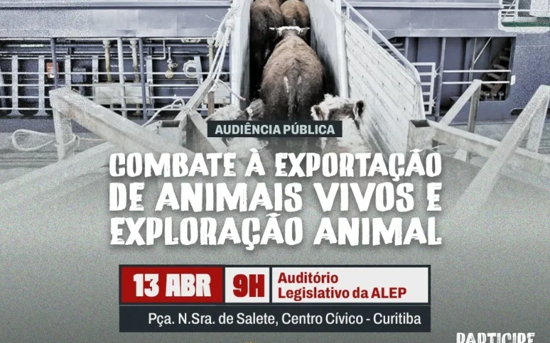 Alep analisa questões sobre a exportação de animais vivos e práticas de exploração na pecuária