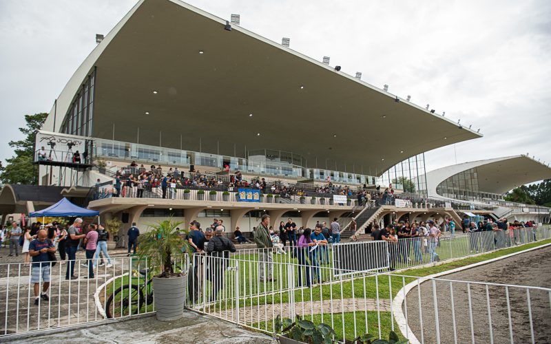 Sabadão terá corridas ao vivo e programação para toda a família no Jockey Club do Paraná