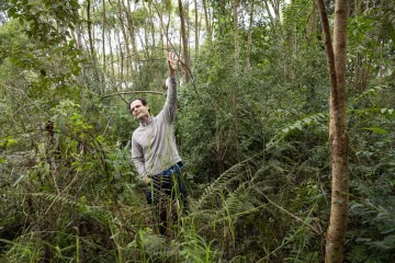 Estudos da Sanepar revelam retorno da biodiversidade em áreas restauradas