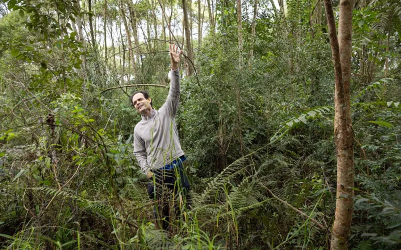 Estudos da Sanepar revelam retorno da biodiversidade em áreas restauradas